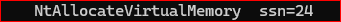 terminal, NtAllocateVirtualMemory ssn=24